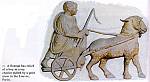059. bas-relief romain - garcon sur un charriot tire par une chevre (Musee du Louvre).jpg